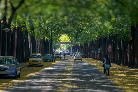 Ulica generala Drapšina, Kikinda